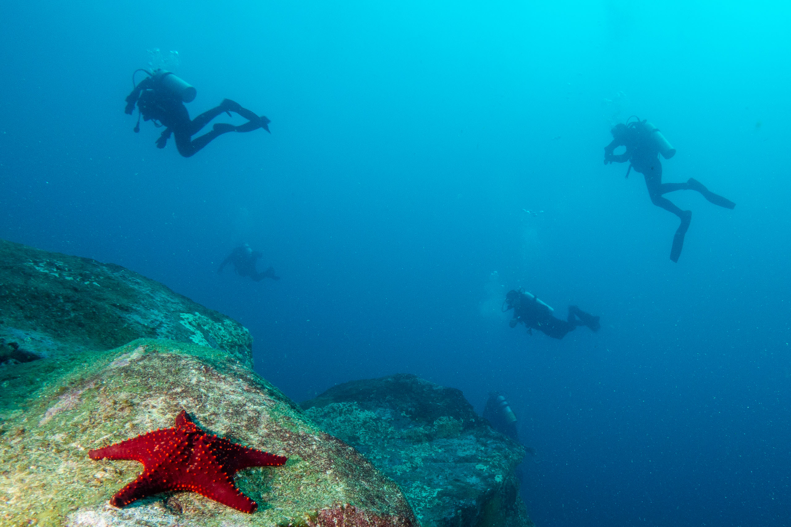 Personnalisez votre voyage with Diving Experience