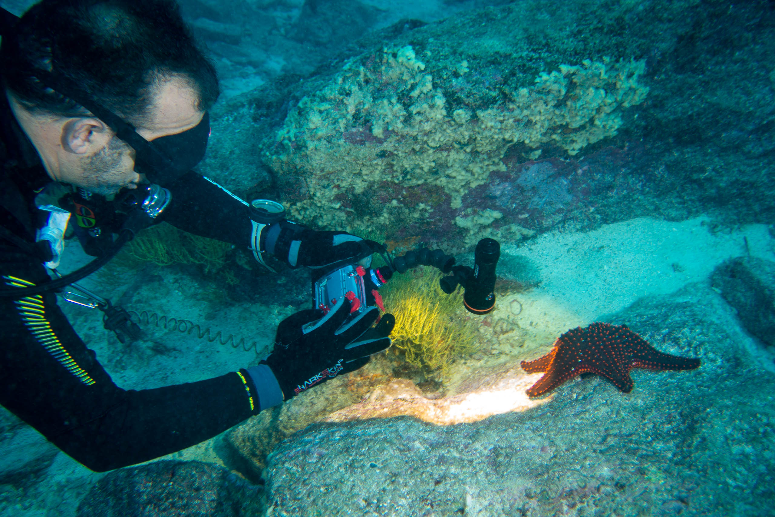 Cours de plongée sous-marine avec Diving Experience