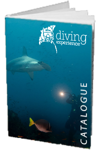 Recevez notre brochure - Diving Experience